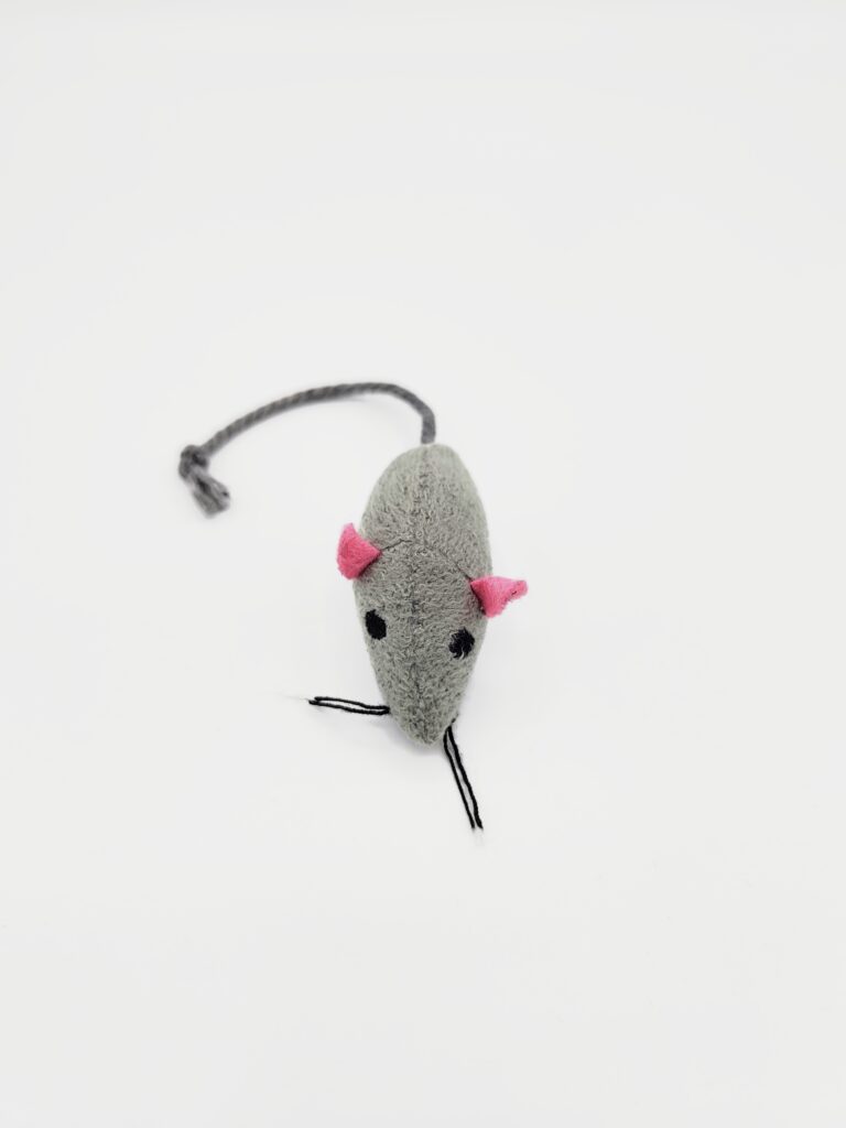 die hausmaus