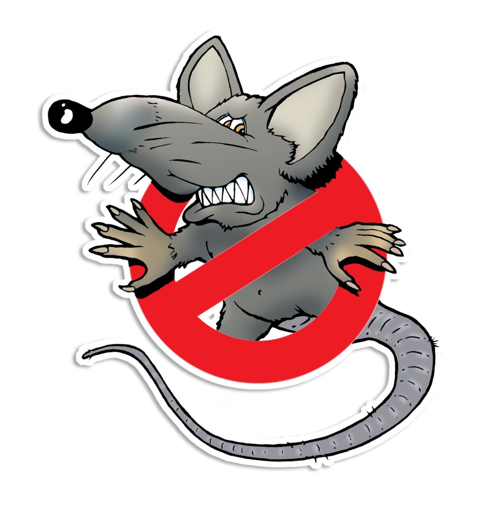 was mögen ratten absolut nicht